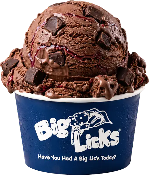 Chocolate Raspberry Truffle at Big Licks