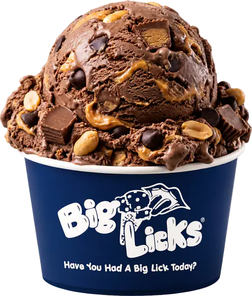 Maine Black Bear Tracks at Big Licks