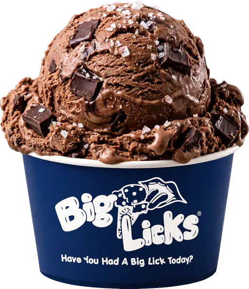 Sea Salt Dark Chocolate Chunk en Big Licks