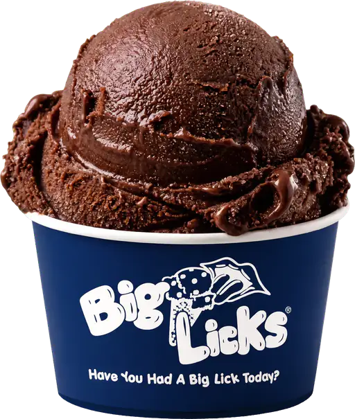 Sinfully Chocolate Sorbet at Big Licks